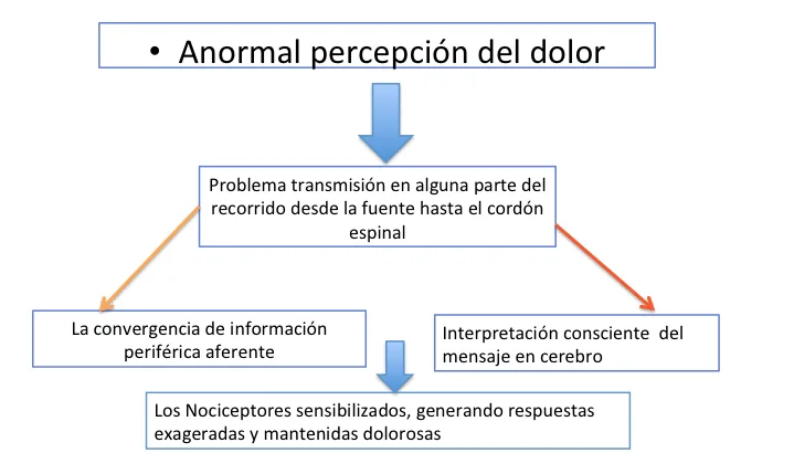 Liliana Rozo - Articulo -DolorLumbarOrigenArticular