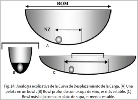 Liliana Rozo - Articulo -DolorLumbarOrigenArticular Parte 2