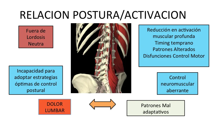 Liliana Rozo - Articulo -DolorLumbarOrigenArticular