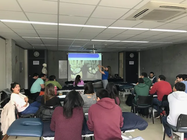 Magíster, Manipulación Avanzada de Extremidades. Concepción, Chile, septiembre 2017