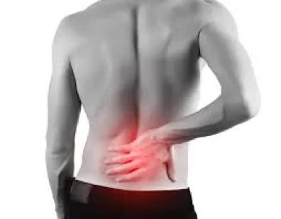 Dolor Lumbar de Origen Articular - Parte II